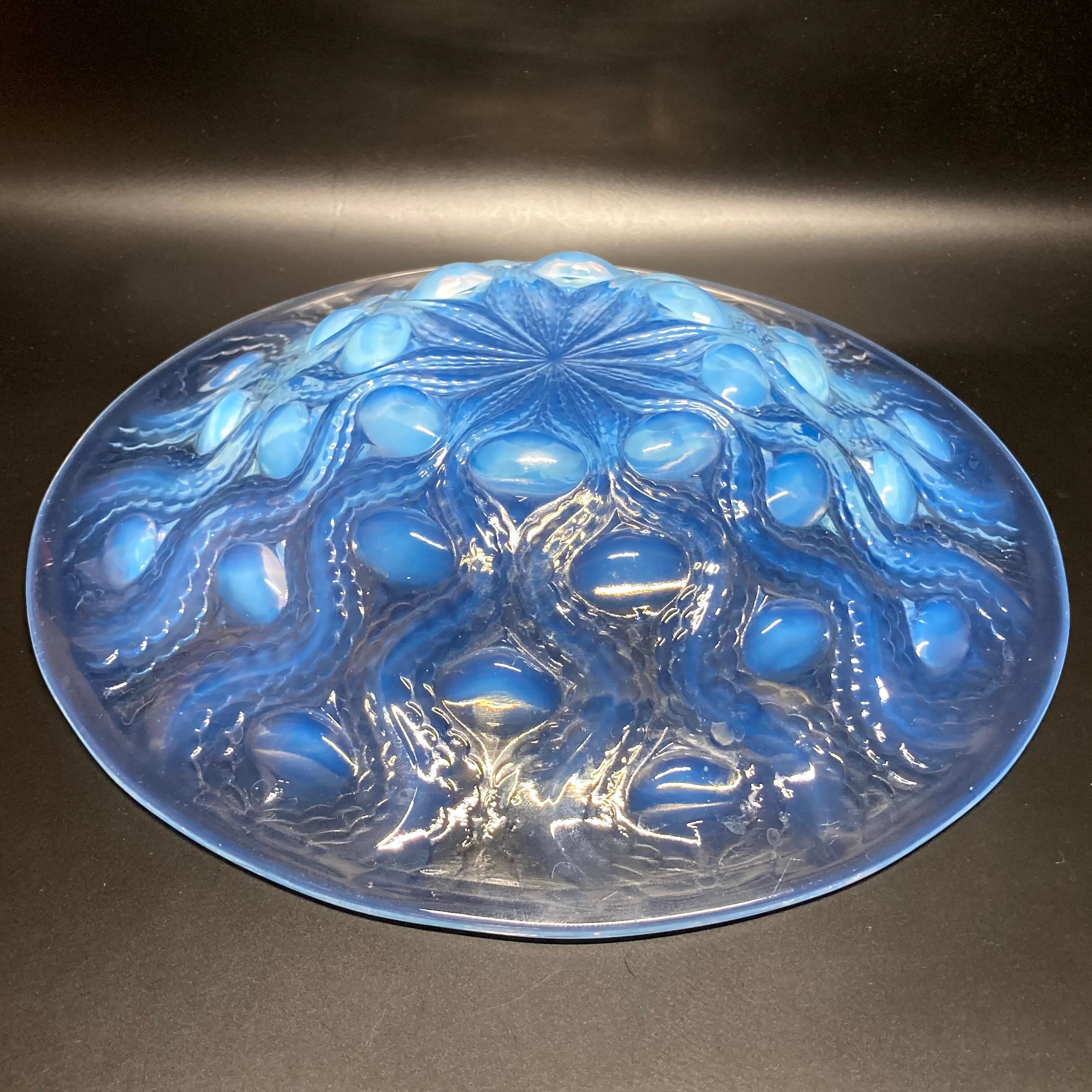 R.LALIQUE ルネ・ラリック「Bulbes No.2」ビュルブ 球根紋 浅鉢 大皿