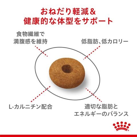 dショッピング |ロイヤルカナン 猫 おねだりの多い成猫用 FCN