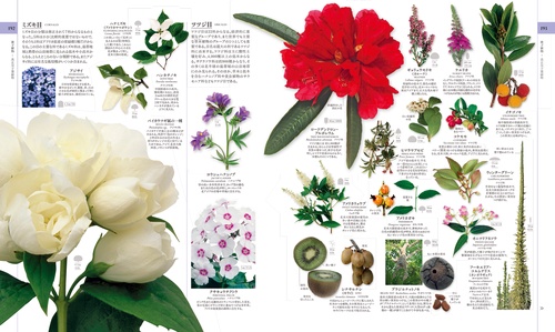 地球博物学大図鑑 新訂版 – 丸善ジュンク堂書店ネットストア