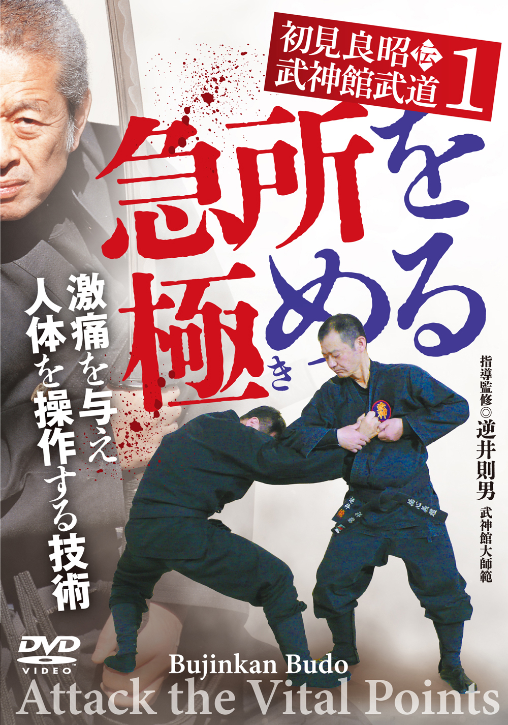 DVD 武神館の武術 第一巻 打撃技編