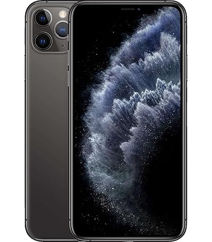 Amazon.com: Apple iPhone 12 Pro Max 5G, US Version, 256GB, Silver