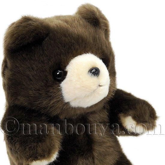 ぬいぐるみ くま テディベア キュート販売 CUTE 森のくまさん-2 SS