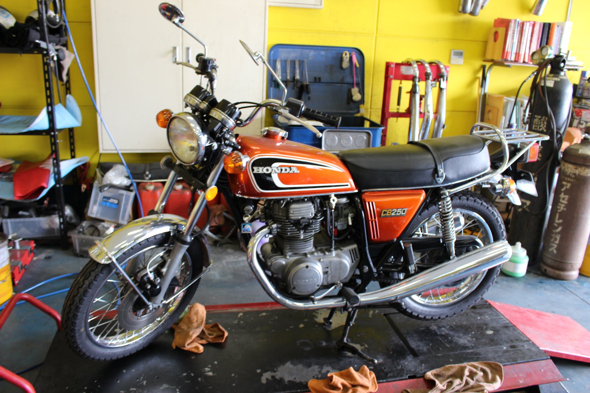 春一番来た～～！！ | ZUMAのブログ