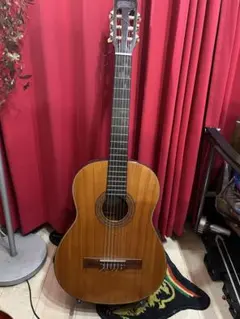 2026年最新】terada ギターの人気アイテム - メルカリ