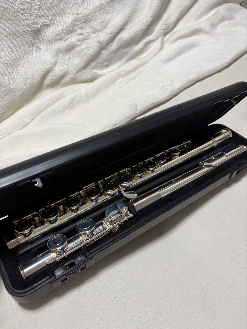 2026年最新】Yamaha YFL-221の人気アイテム - メルカリ