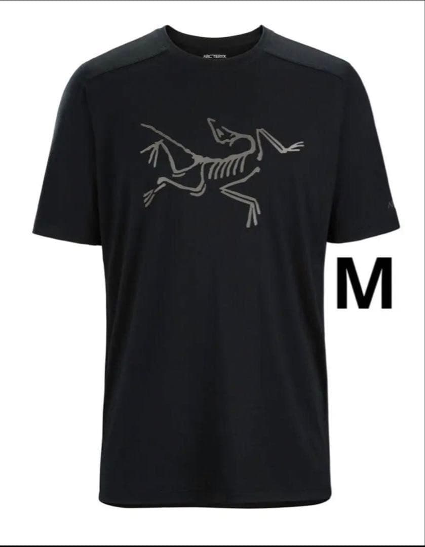 ARC'TERYX IONIA MERINO WOOL LOGO M メンズM ARC'TERYX（アークテリクス） Tシャツ Ionia Merino Wool Logo
